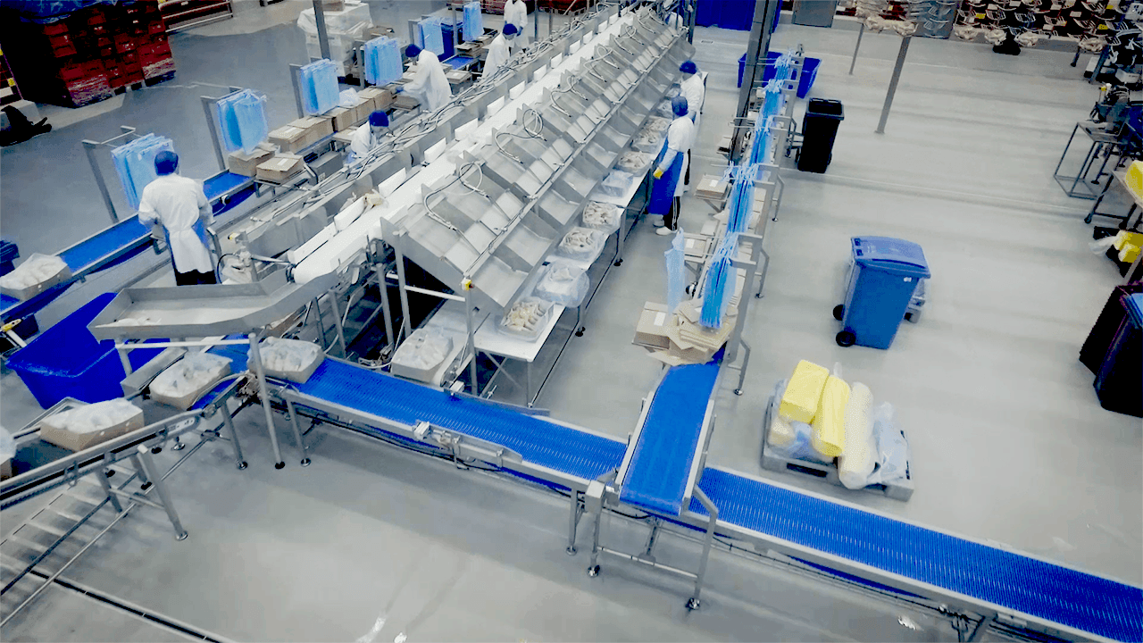 Een Marelec Sorteerlijn met transportsystemen voor hele kippen.